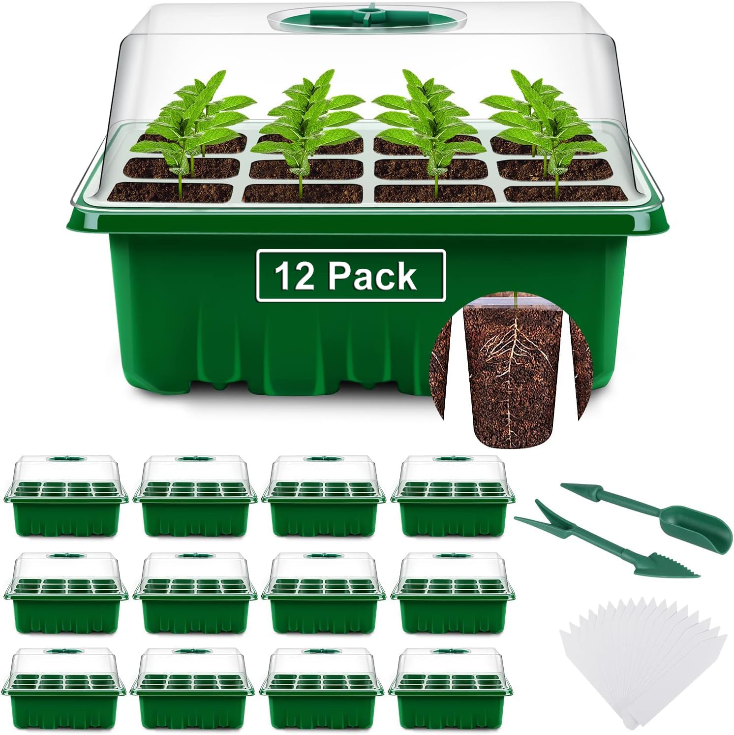 YAUNGEL Seed Starting Trays, 12 Pack 144 Cells Thicken Seed Starter Tray Kit with Humidity Dome/Clear Lids Durable Growing Trays for Greenhouse & Gardens, Green