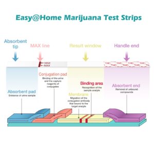 Easy@Home THC Test Strips: Urine Test Kit - Detect Metabolites in Urine with Cutoff Level 50ng/mL- 10 Pack ESTH-115