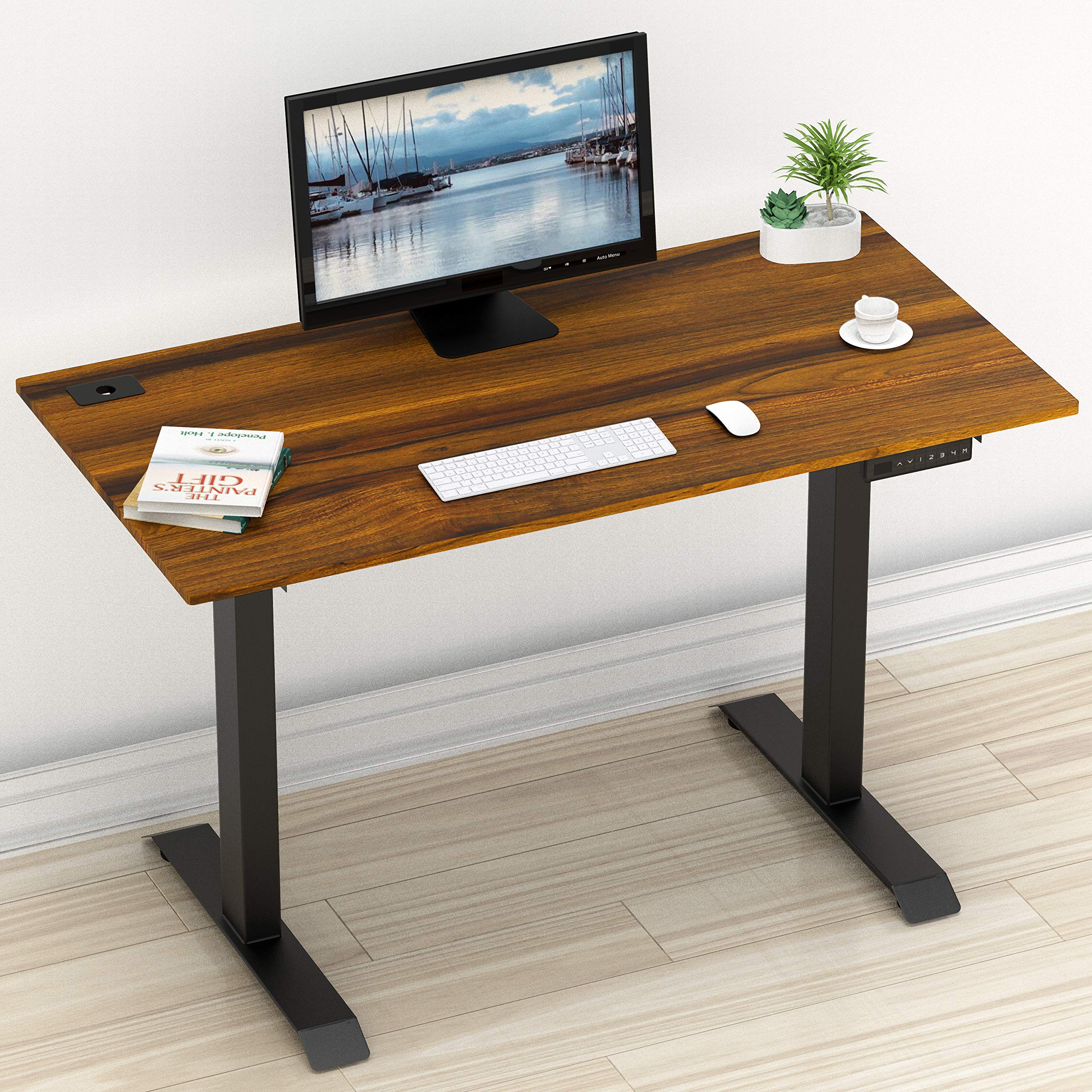 SHW 55-Inch Large Electric Height Adjustable Standing Desk, 55 x 28 Inches, Walnut