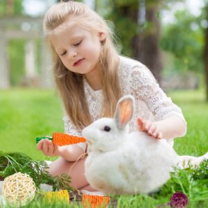 Sofier Rabbit Toys Bunny Toys Guinea Pig Toys 17pcs Natural Timothy Hay Treats Hamster Toys for Teeth Handmade Rabbit Treats and Chews Chinchilla Rat