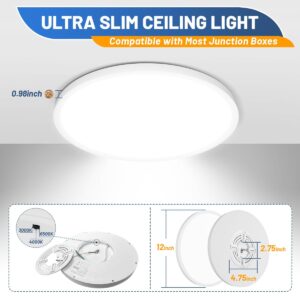 Allsmartlife LED Flush Mount Ceiling Light Fixture, 12inch 24W 2880lm CCT 3000K/4000K/6500K Thin Round Flat Panel Light Surface Mount for Kitchen, Bedroom, Laundry. Dimmable Ceiling Lamp