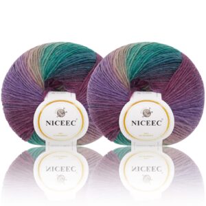 niceec 2 skeins rainbow soft yarn 100% wool gradient multi color yarn for crocheting knit total length 180m×2(196yds×2,50g×2)-5#