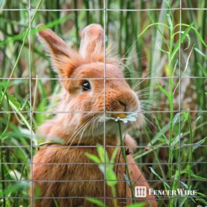 Fencer Wire 16 Gauge Galvanized Super Rabbit Guard Garden Fence, Welded Wire Fence for Preventing Rabbits, Dogs, Cats, Chickens, and Other Small Animals from Damaging The Garden (24 in. x 50 ft.)