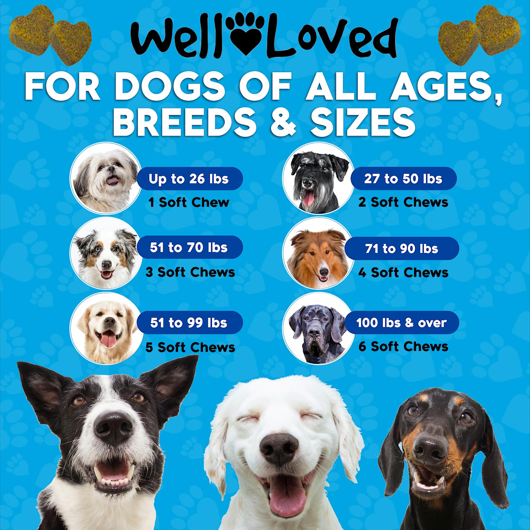 Well Loved Calming Chews for Dogs - Dog Anxiety Relief, Made in USA, Vet Recommended, Dog Calming Chews - Anxiety Relief Treats, Melatonin for Dogs, Hemp Dog Treats for Calming, Extra Strength