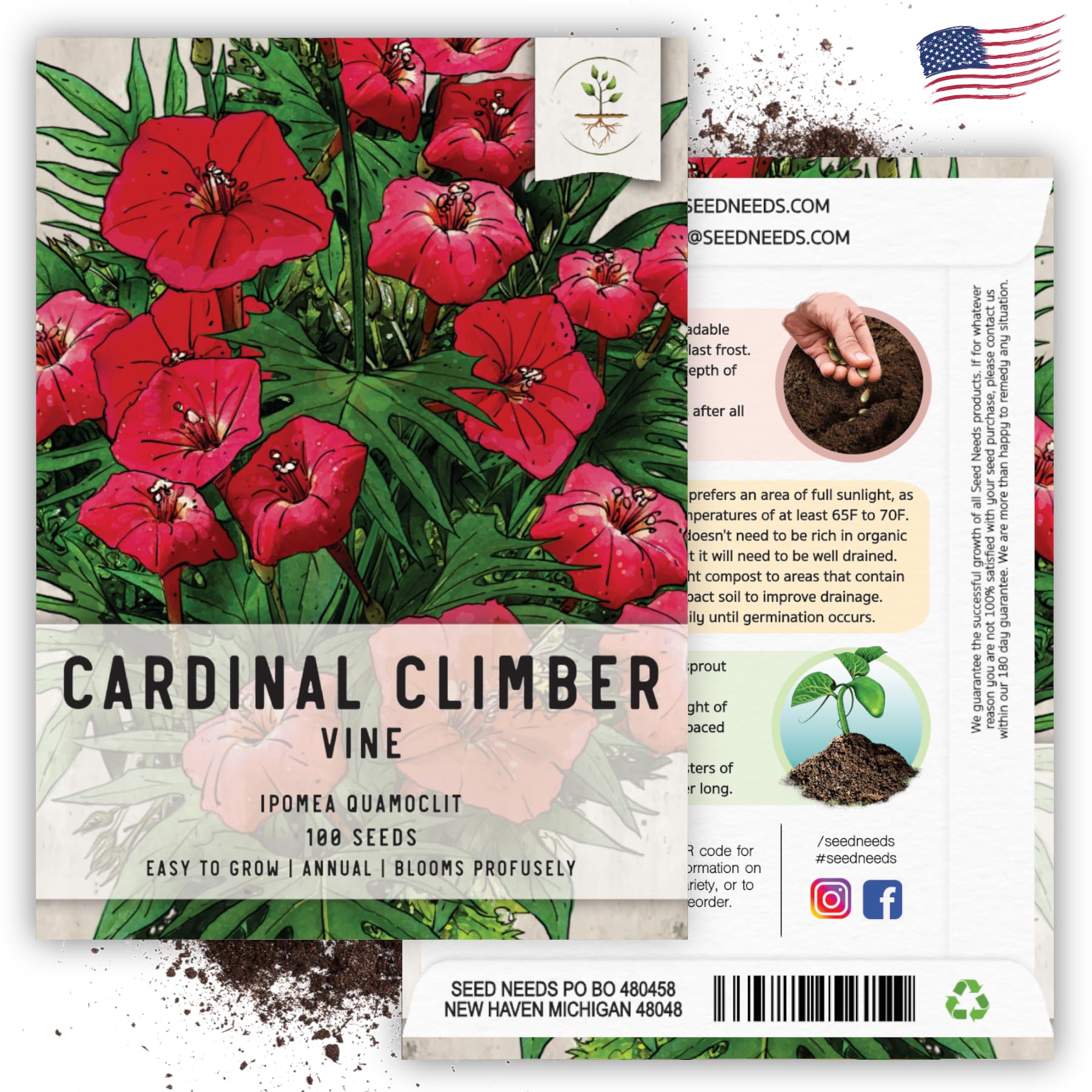 Seed Needs, Cardinal Climber Seeds - 100 Heirloom Seeds for Planting Ipomea Quamoclit - Open Pollinated & Untreated, Attracts Pollinators (1 Pack)