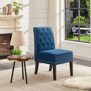 Blue Velvet Dining Chairs, DRM'SCUUM Comfy Dining Room Chairs, Soft Blue Velvet with Fabric Buttons and Nails, Rubber Wood Legs, for Kitchen, Home and Coffee Decor Accents