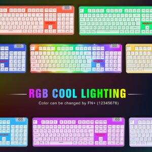 K10 RGB Gaming Keyboard,Transparent Case RGB Backlit Keyboard with PBT Keycap,Ergonomic Wired White Keyboard with Mechanical Feel 104 Key keyboard with Scroll Wheel for PC PS4 Xbox Mac Gaming Office