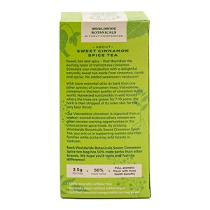 Worldwide Botanicals Sweet Cinnamon Spice Herbal Tea - Organic, Caffeine Free, Kosher, Naturally Sweet, 50% More Herbs - 25 Tea Bags