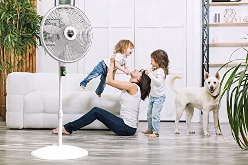 Lasko EcoQuiet Oscillating Pedestal Fan with Whisper Quiet DC Motor, 12 Speeds, 8 Hour Timer, Adjustable Height, Remote Control, White, S18705, Large