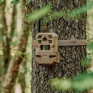 Moultrie Edge Cellular Trail Camera -Auto Connect - Nationwide Coverage - 720p Video with Audio - Built in Memory - Cloud Storage - 80 ft Low Glow IR LED Flash