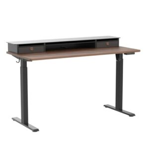 FEZIBO 55 x 24 Inch Height Adjustable Glass Electric Standing Desk with Double Drawer, Stand Up Desk with Storage Shelf, Sit Stand Desk, Black Walnut