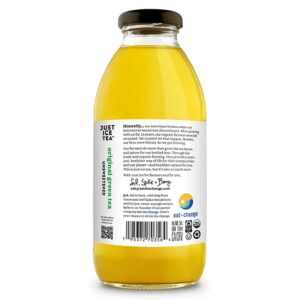 Just Ice Tea Organic Original Green Tea, 16 FZ