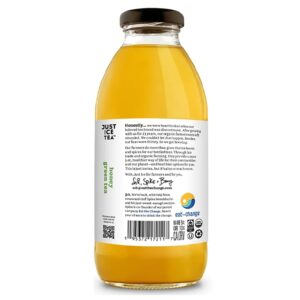 Just Ice Tea Organic Honey Green Tea, 16 FZ