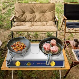 Vivicreate Camping 20000 BTU 2 burner stainless steel panel auto ignition Propane Gas Outdoor Garden Fishing Hiking Camp Restaurant Stove Burner