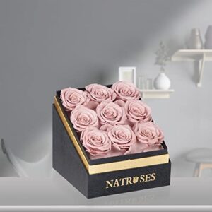 NATROSES Forever Preserved Roses in a Box, 100% Real Roses That Last Up to 3 Years, Flowers for Delivery Prime Birthday, Valentines Day Gifts for Her, Birthday Gifts (Dusty Rose)