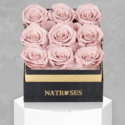 NATROSES Forever Preserved Roses in a Box, 100% Real Roses That Last Up to 3 Years, Flowers for Delivery Prime Birthday, Valentines Day Gifts for Her, Birthday Gifts (Dusty Rose)