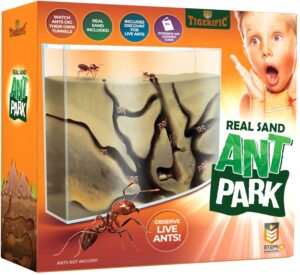 tigerific ant farm for live ants - real sand ant colony kit for kids -fun science habitat set for children, watch ants dig tunnels, carry sand, hide and drag their food