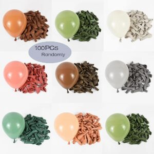 GULELAYAR 100 Pieces 5 Inch Retro Latex Balloons Retro Party Balloons for Birthday Wedding Engagement Baby Shower Graduation Party Art Performance Reveal Decoration