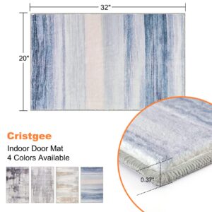 Cristgee Door Mat, Front Indoor Door Mat Faux Wool Non-Slip Entryway Rug Absorbent Abstract Throw Rug for Indoor Entrance Hallway Laundry Room, High Traffic Areas, 20X32 Inches, Blue Washable