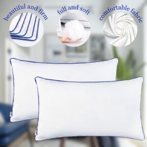 Wuuyuef 12 x 20 Pillow Insert set of 2 Indoor Throw Pillow Insert, Rectangle Decorative Pillows Inserts, Throw Pillows for Couch,Throw Pillows for Bed,White Throw Pillows