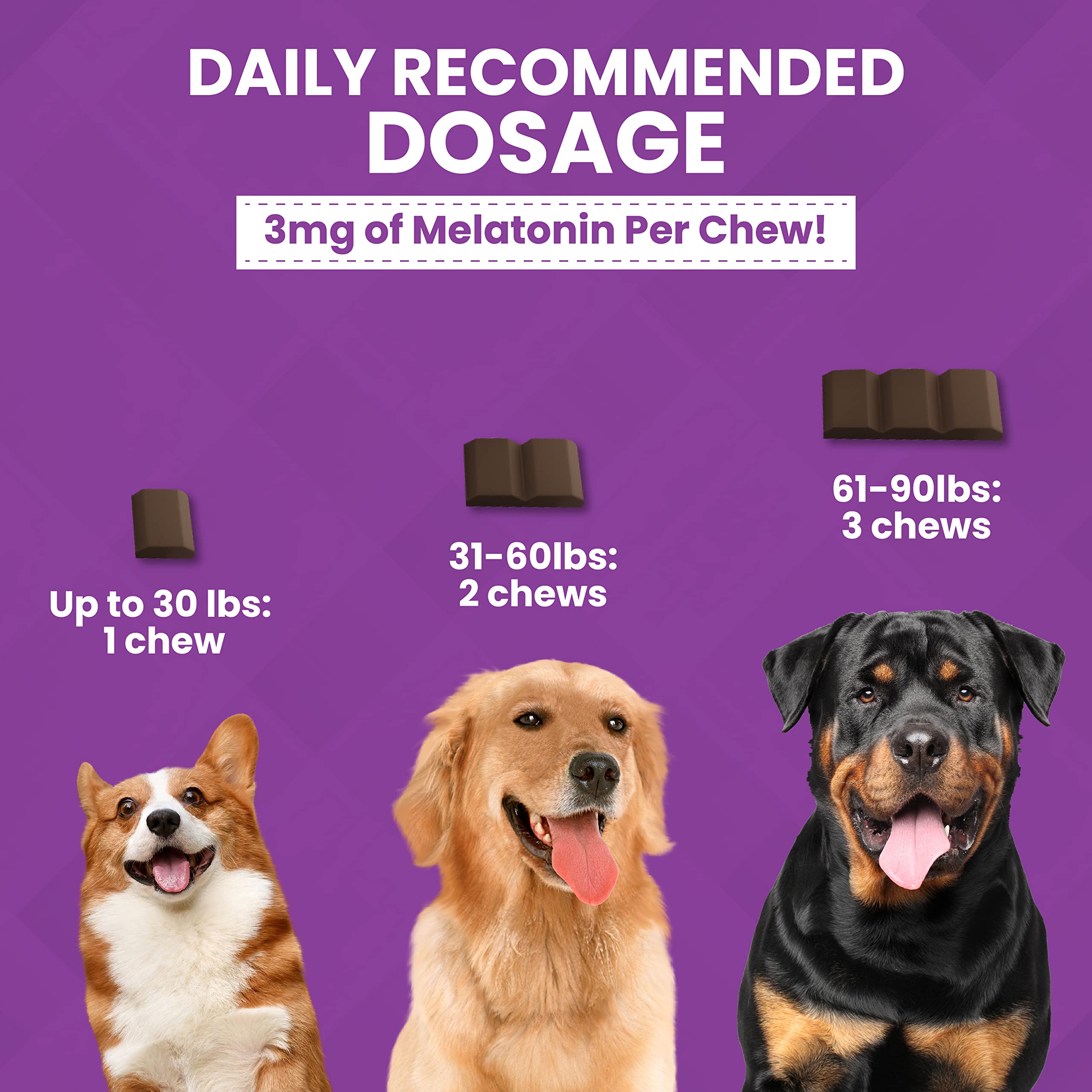 Nootie ProgilityMAX Calming Aid Chews for Dogs, Maximum Strength Calming Support for Dogs with Melatonin, 12 Single-Serve Bars, 4 Chews Per Bar