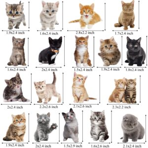 36pcs Baby Cat Cupcake Toppers Cute Cat Cupcake Toppers Kitten Pet Birthday Party Decoration for Kitty Cat Theme Birthday Party Baby Shower Supplies