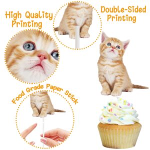 36pcs Baby Cat Cupcake Toppers Cute Cat Cupcake Toppers Kitten Pet Birthday Party Decoration for Kitty Cat Theme Birthday Party Baby Shower Supplies