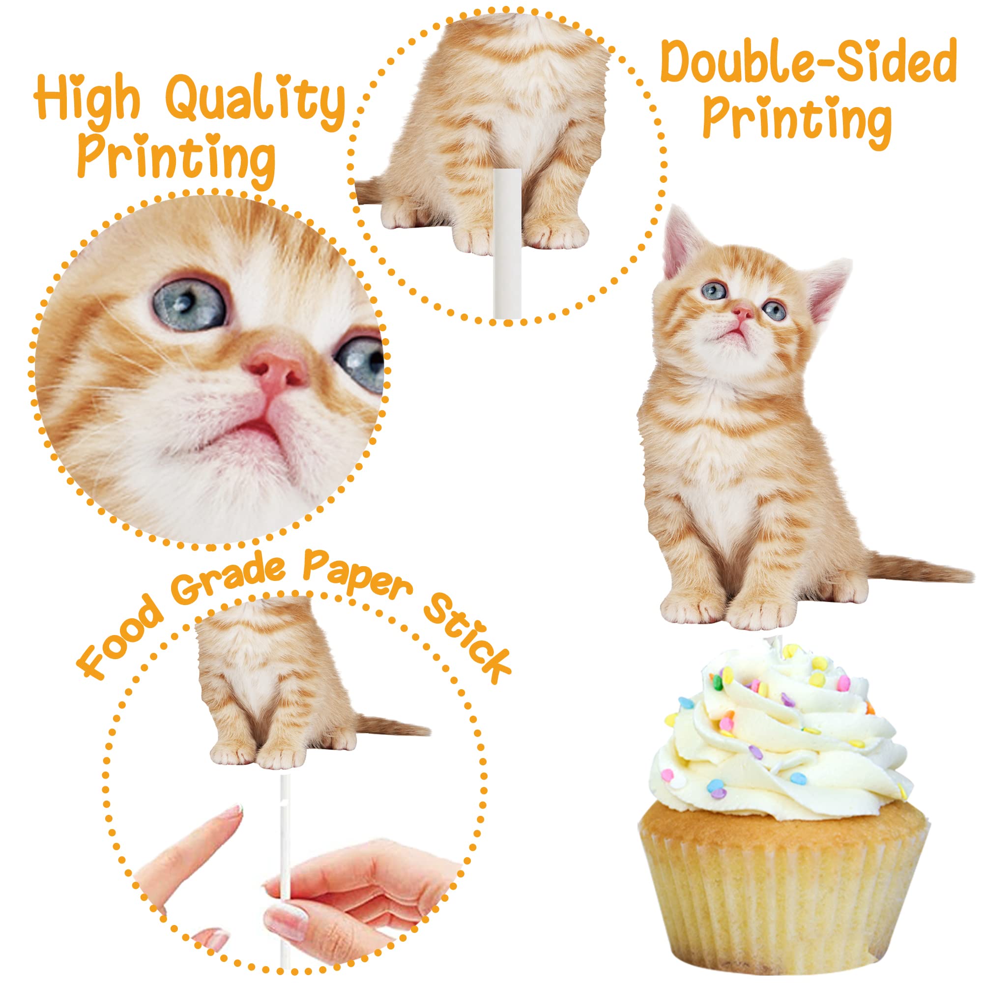 36pcs Baby Cat Cupcake Toppers Cute Cat Cupcake Toppers Kitten Pet Birthday Party Decoration for Kitty Cat Theme Birthday Party Baby Shower Supplies