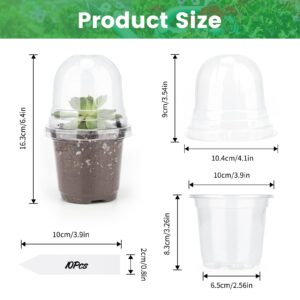 KINGLAKE GARDEN 4'' Plant Nursery Pots,Clear Nursery Pots with Humidity Dome,32 Sets(32 Pots + 32 Clear Lids) Plastic Plant Pots for Transplanting Plant/Succulents/Seedlings(with 10pcs Plant Labels)