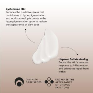 Senté Cysteamine HSA Pigment and Tone Corrector - Facial Cream For Reducing The Appearance of Dark Spots And Improving Skin Tone - 1.7 Fl Oz