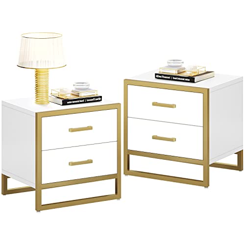 YITAHOME Nightstand with 2 Drawers, Small End Side Table with Storage, Modern Bedside Bed Table with Metal Frame for Small Space, Bedroom and Living Room, White