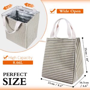 Daixers Lunch Bag Insulated Lunch Box for Women Men,Reusable Adult Lunch Tote Bags for Work or Travel (Striped Grey)