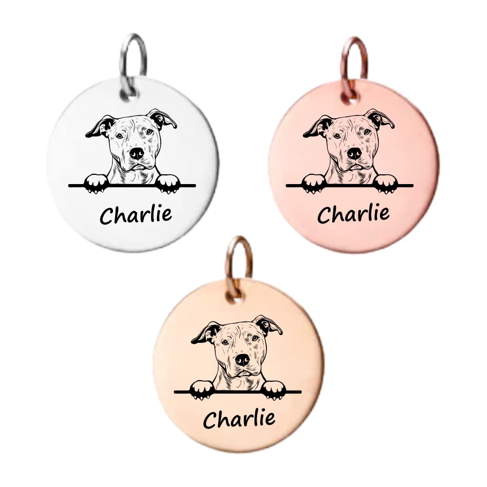 American Pit Bull Terrier Gifts, Personalized American Pit Bull Terrier Charm, Custom Engraved Dog Charm, DIY Jewelry Making, Memorial Keepsake for Dog Mom, Dog Lover Gift