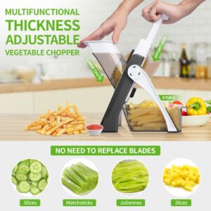 QieCai Safe Mandoline Vegetable Chopper With Container for Kitchen, Professional, More with 30+ Presets & Thickness Adjuster, Faster Food Slicer Gadgets for Onion,Potato - Gray