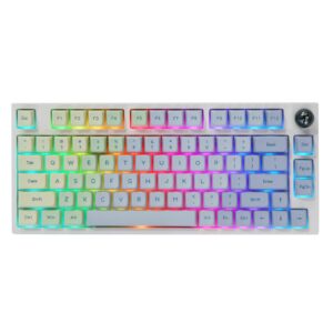 EPOMAKER TH80 Pro Wireless Gaming Keyboard, 3 Modes (2.4Ghz/Bluetooth 5.0/USB-C Wired) Mechanical Keyboard, Hot Swappable, RGB Backlit, for Windows/Mac/PS5/PS4/Xbox (Monet, Flamingo Switch)