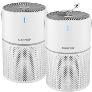 2pack air purifiers for bedroom 5 layers h13 hepa air filter with aroma air purifiers for home pets,desktop,kitchen,filter 99.99% smoke,pollen, pet dander,dust,ozone free,available for california