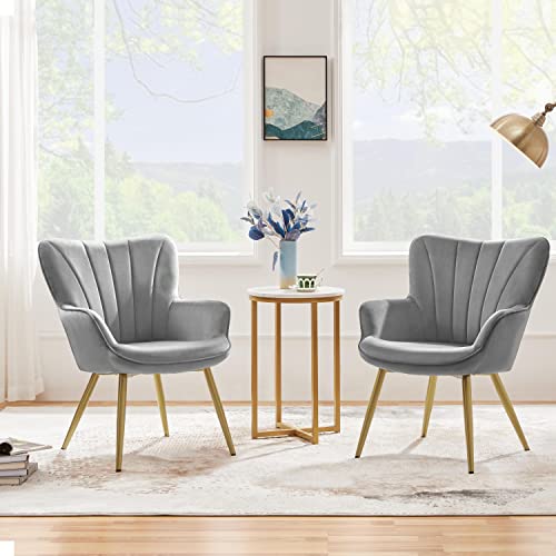 Yaheetech Velvet Accent Chair, Modern Vanity Chair Armchair with Wing Side and Metal Legs, Cozy and Soft Padded and High Back for Living Room/Home Office/Makeup/Bedroom, Light Gray