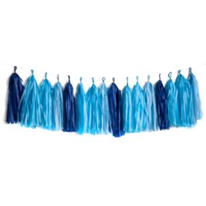 capesaro blue tassel garland,tissue tassel banner for baby showe boy party decorations,pack of 20