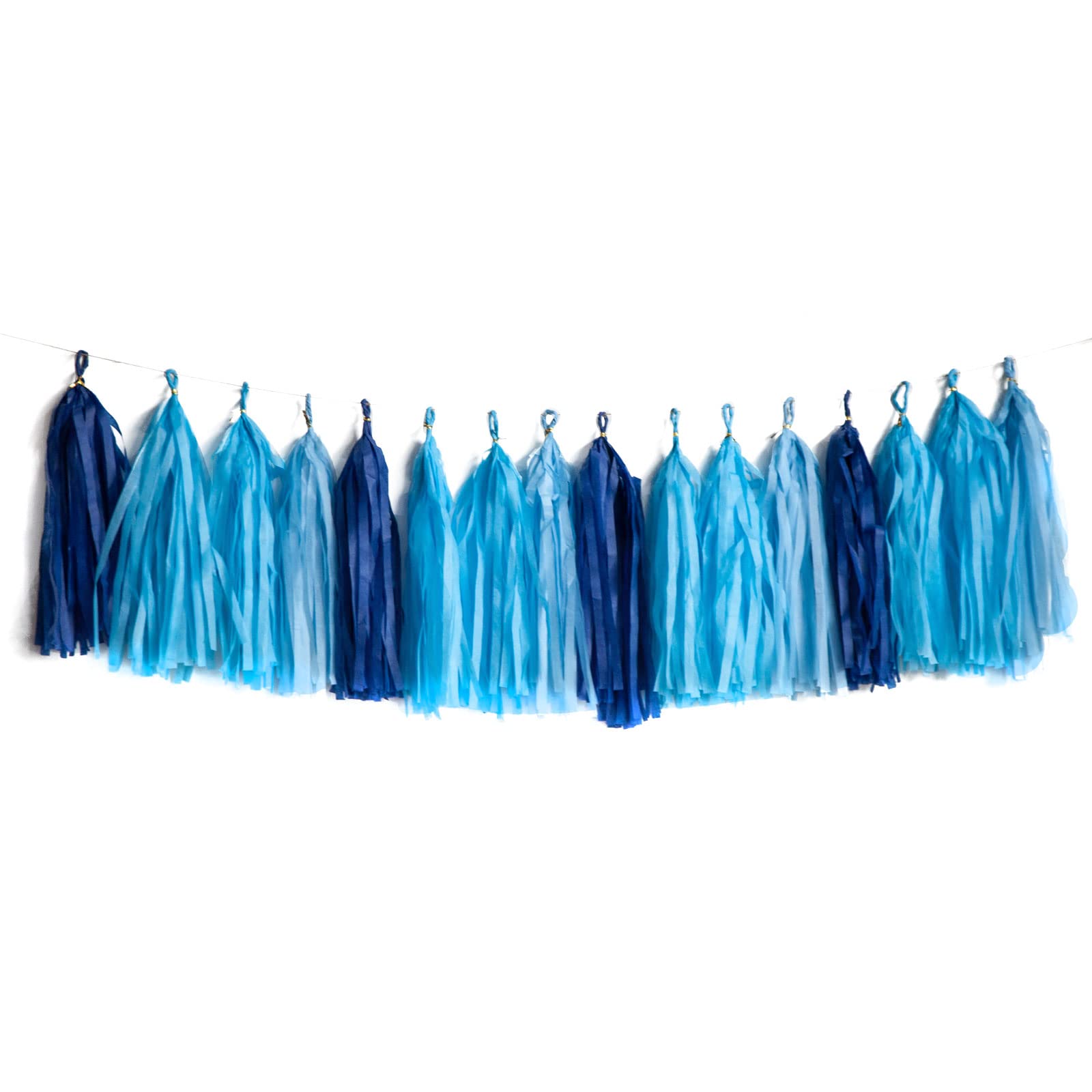 Capesaro Blue Tassel Garland,Tissue Tassel Banner for Baby Showe Boy Party Decorations,Pack of 20