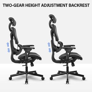 OUTFINE Back Height Adjustable High Back Mesh Chair, Adjustable Chair Back 3 Level Lock Function, 2D Adjustable Armrest, Adjustable Headrest and Adjustable Lumbar Support, Tilt, 300LBS