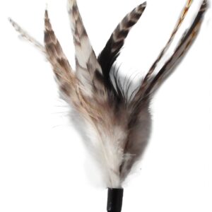 EcoCity Cat Toys - No Chemical Dyeing Cat Feather Toys for Indoor Cats - Include Cat Wand and Natural Feather Refills