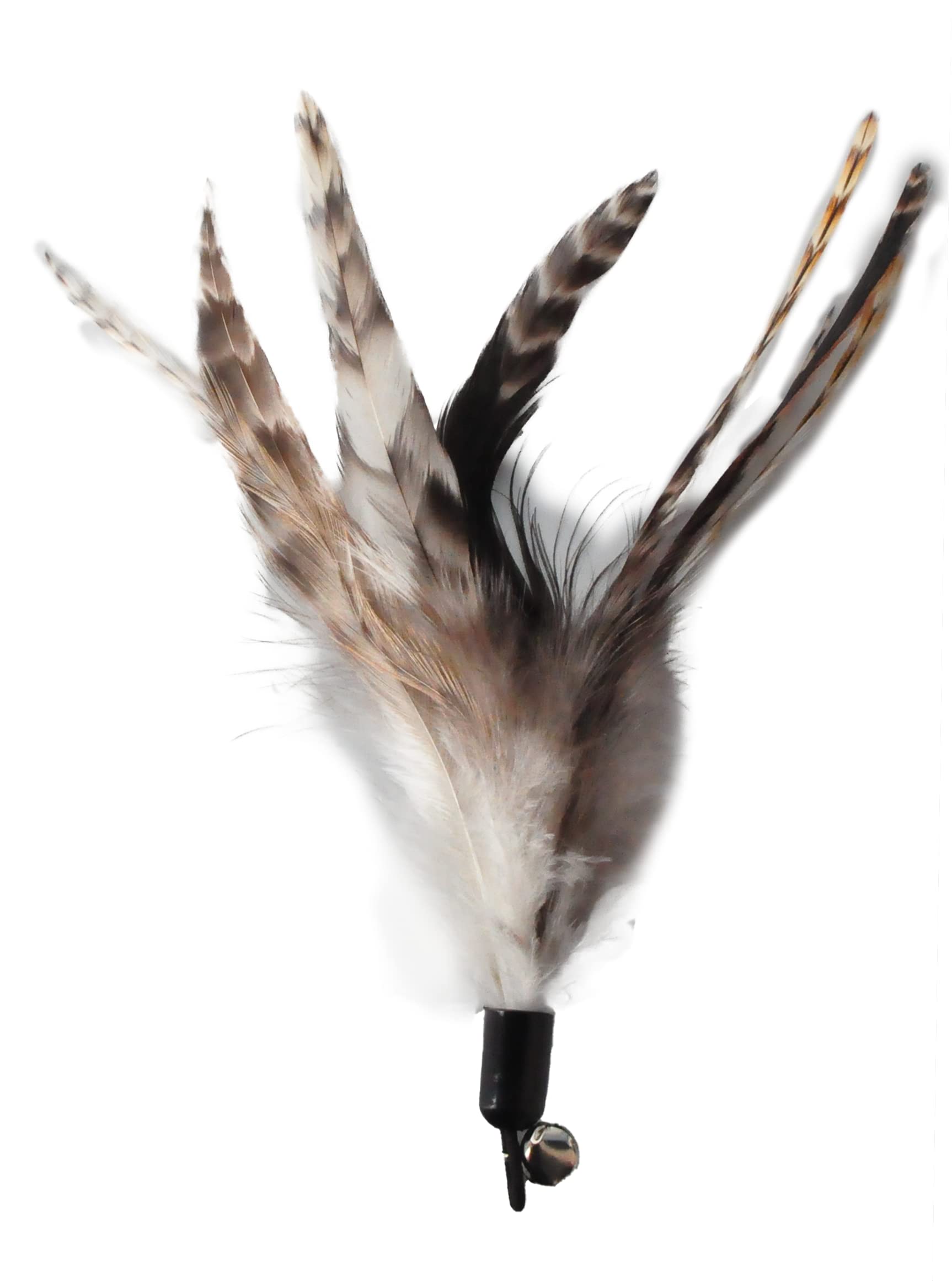 EcoCity Cat Toys - No Chemical Dyeing Cat Feather Toys for Indoor Cats - Include Cat Wand and Natural Feather Refills