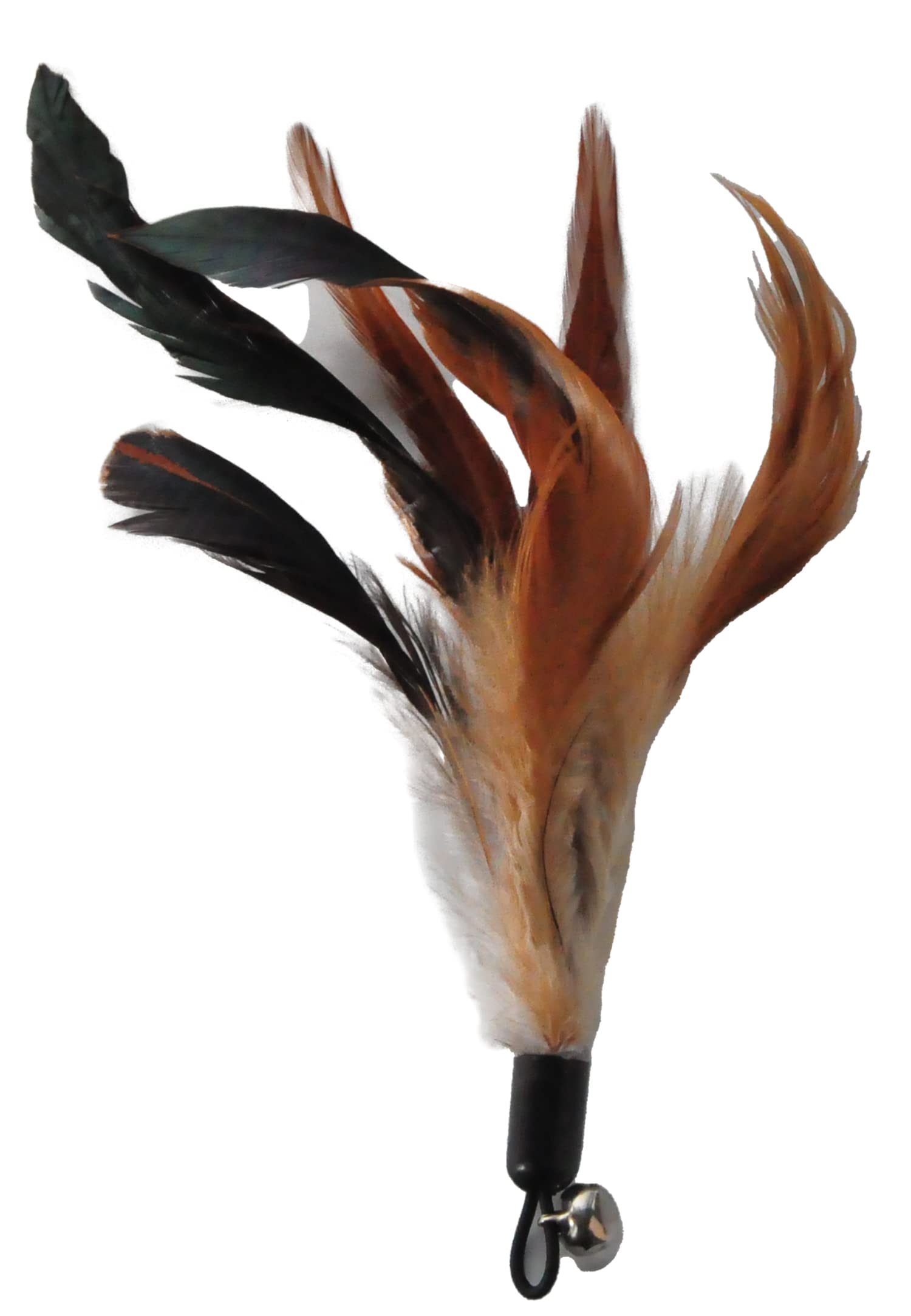 EcoCity Cat Toys - No Chemical Dyeing Cat Feather Toys for Indoor Cats - Include Cat Wand and Natural Feather Refills