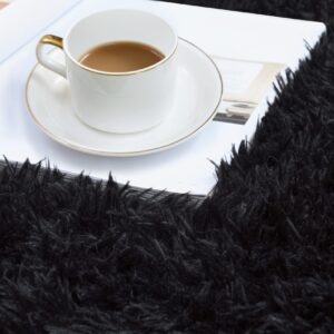 duduta Black Soft Fluffy Rectangle Rug 3x5 ft, Shag Furry Plush Throw Rug for Bedroom Nursery Living Room Home Decor