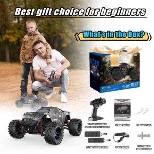 FUUY RC Cars for Adults 1:10 Large Remote Control Car 45KPH High-Speed RC Truck with 2 Batteries All Terrain Waterproof Off Road Fast RC Car with 550 Power Motor Toys Gift for Youth