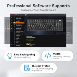 RK ROYAL KLUDGE RK96 RGB Limited Ed, 90% 96 Keys Wireless Triple Mode BT5.0/2.4G/USB-C Hot Swappable Mechanical Keyboard w/Wrist Rest, Software Support & Massive Battery, RK Yellow Switch