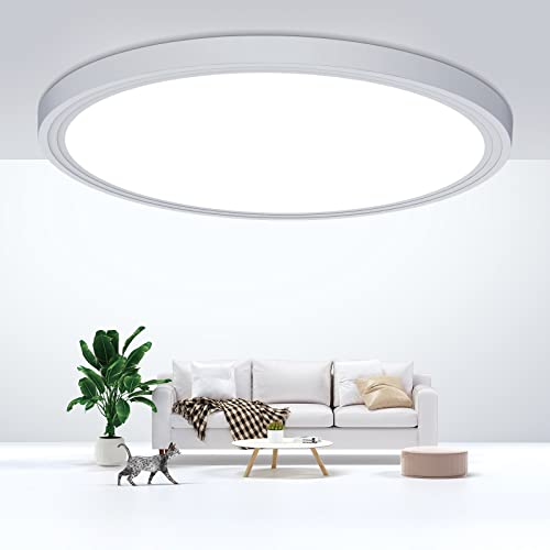 DEALGADGETS Flush Mount Ceiling Light Fixtures,24W Flat led Light for Ceiling,6000K 2200LM Ultra Thin Round White Lamp for Bedroom Kitchen,Bathroom,Garage,Living Room, Dining Room