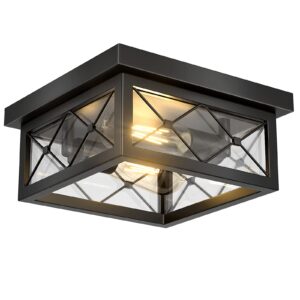 Asnxcju Farmhouse Light Fixtures Ceiling Mount, 2-Light Black Flush Mount Ceiling Light with Clear Glass Shade, Metal Cage Square Close to Ceiling Lamp for Bathroom Kitchen Porch (Bulbs Not Included)