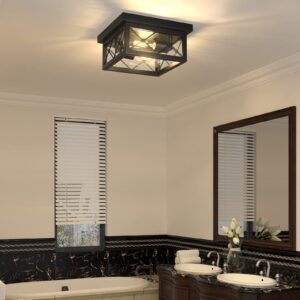 Asnxcju Farmhouse Light Fixtures Ceiling Mount, 2-Light Black Flush Mount Ceiling Light with Clear Glass Shade, Metal Cage Square Close to Ceiling Lamp for Bathroom Kitchen Porch (Bulbs Not Included)