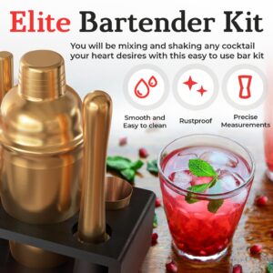 Highball & Chaser Cocktail Shaker Set: Bartender Kit for Home Bar Mixology Cocktail Bar Set Plus E-Book with 30 Recipes (Antique Gold)